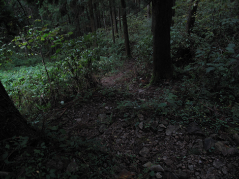 20171026hike (452)